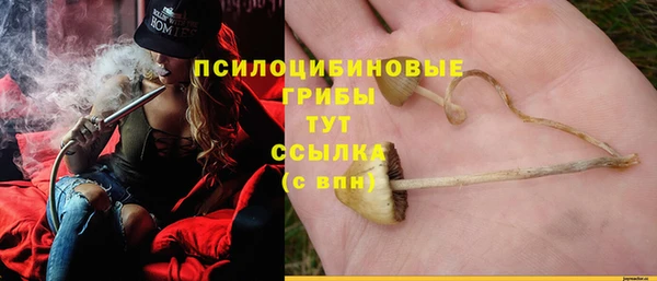винт Алексеевка