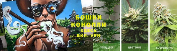 мет Осинники