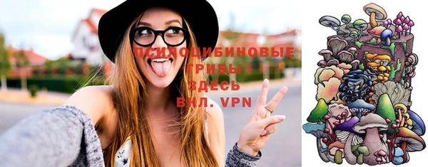 винт Алексеевка