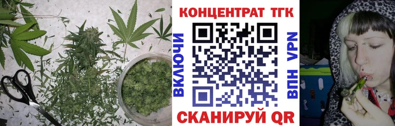 ТГК Wax Лесной