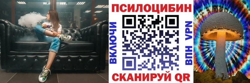 где купить наркотик  Лесной  Псилоцибиновые грибы мицелий 