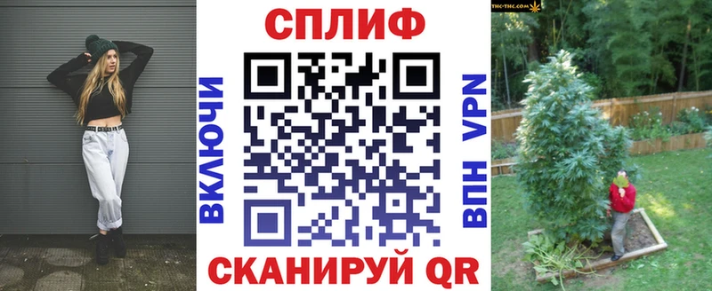 Каннабис гибрид Лесной
